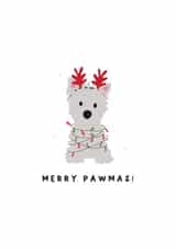 Westie christmas card created by Giggl Greetings 