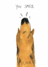 You Smell Older, birthday card from the dog created by @Jodsween