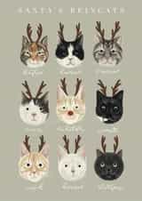 Santa's Reincats created by Hope Olivia Illustrations