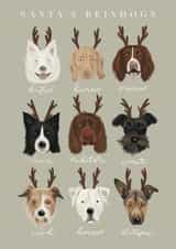 Santa's Reindogs created by Hope Olivia Illustrations