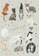 Cat Party created by Hope Olivia Illustrations