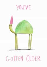 You've gotten older, tortoise with a hat birthday card created by @Jodsween
