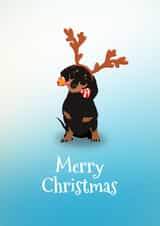 Sausage dog Christmas bone created by Artzen Island
