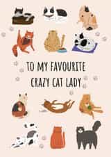 To my favourite crazy cat lady created by Pixie Paper Art