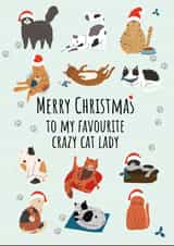 Perfect Christmas card for a cat lover created by Pixie Paper Art