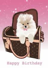 Cute Dog created by Pretty Rich