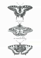 Lots Of Love On Your Birthday Butterflies & Moth Birthday Card created by Lucy Francis