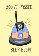 Congratulations on passing your driving test! created by Schnauzer Scribbles