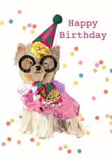 Pretty Dog Birthday created by Pretty Rich