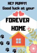 Hey Puppy - Good luck at Forever home created by Pet Milestone Cards