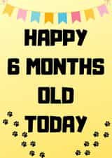 Happy 6 months old today created by Pet Milestone Cards