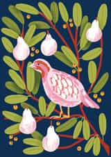 Partridge and Pear Classy Christmas Card created by Joanna Clay Design