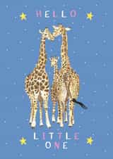 Hello Little One  created by Evie Warren Illustration