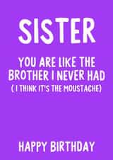 Sister, You are like the brother I never had (I think it's the tash) created by IWLT