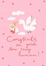 Newborn card 1000 created by Olla