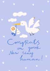 Newborn card 1001 created by Olla