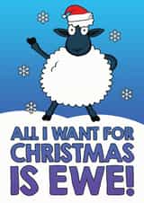 All I Want For Christmas Is Ewe! created by Welsh Banter