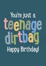 You're justa teenage dirtbag Happy Birthday card created by FurzePrints