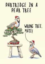 Partridge In A Pear Tree Christmas Card created by Bewilderbeest