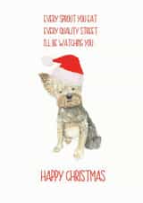 Yorkshire Terrier Father Christmas created by Sarah Maddox