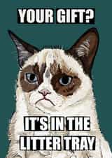Funny Grumpy Cat Meme Birthday or Christmas Card created by Tiny Tiger