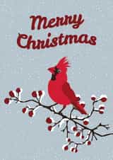 Merry Christmas - Red Cardinal Bird, Berries and Snow Card created by Printables Passions