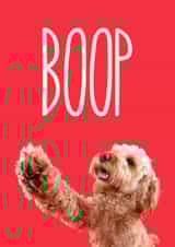 Boop Greetings Card created by The Yorkshire Pawtrait Co.