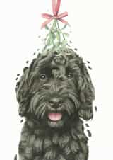 Cockapoo Under the Mistletoe - Mistletoe - Cute - From The Dog - Christmas Card - Dog Parents - Puppy Love - Christmas Card created by Robert James Hull