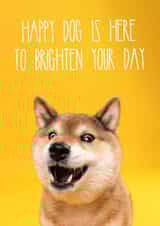Happy Dog Send A Smile Card created by The Yorkshire Pawtrait Co.
