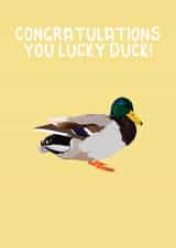You lucky duck created by Ellen Cawley