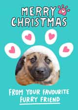 Personalised Christmas Photo Card created by Angela Chick - Furry friend christmas photocard