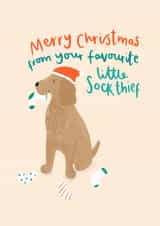 Merry Christmas From Your Favourite Little Sock Thief - From the Dog - Dog - Cute - Furry Friend - Christmas Card created by Charley Muttitt