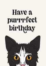 Purrrfect Birthday Card created by Penny and Me