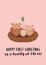 First Born - New Baby - Family of Three - Owls - Happy First Christmas - Cute - Heartfelt - Parents - Christmas Card created by Easel & Bear