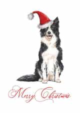 Border Collie Dog Merry Christmas Cute Card created by Fauna and Flo Creative