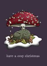 Cosy Toad Christmas Card created by Dionne Turnbull