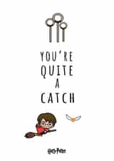 Funny Valentine's Day Card - Quite a Catch - Quidditch - Harry Potter created by Cardology