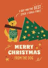 Cute and Funny Pet Dog Christmas Card - from the dog - for dog lovers and owners created by Bird & Co Studio