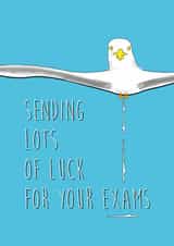 Send lots of luck for your exams created by Quinton cards