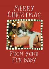 Personalised Christmas Photo Card created by Giddy Kipper - Cute Christmas Card - From The Cat - From The Dog