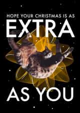 Extra Christmas cat card created by andyclayotbay