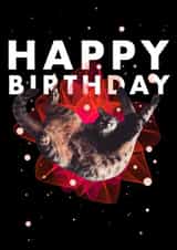 Happy birthday cat bow card created by andyclayotbay