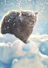 Let it snow! 1000 created by Alina Shevelina