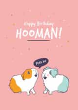 Funny Guinea Pig Birthday Card to the Hooman created by Goofy Guineas