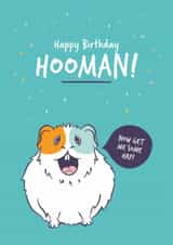 Funny Guinea Pig Birthday Card created by Goofy Guineas