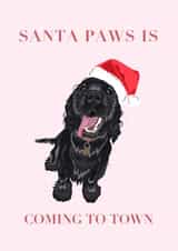 Santa paws is coming to town created by Katie McCormick
