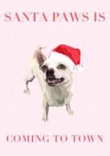 Santa paws is coming to town chihuahua created by Katie McCormick