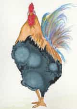 Rule the Roost created by Madasapenguin Designs