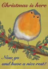 Christmas Card With a Robin Bird created by Anna Stanczyszyn