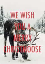 Christmoose pun Christmas card created by Number 27 Design